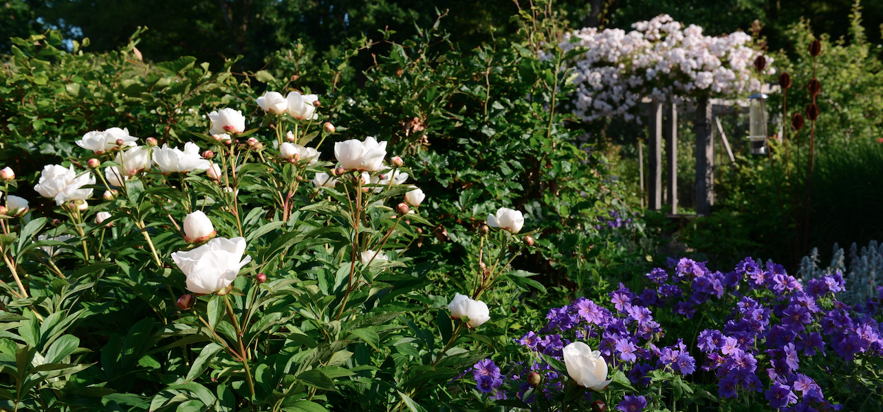 will draper norfolk garden design project images 10