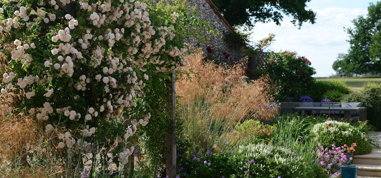 will draper norfolk garden design project images 12