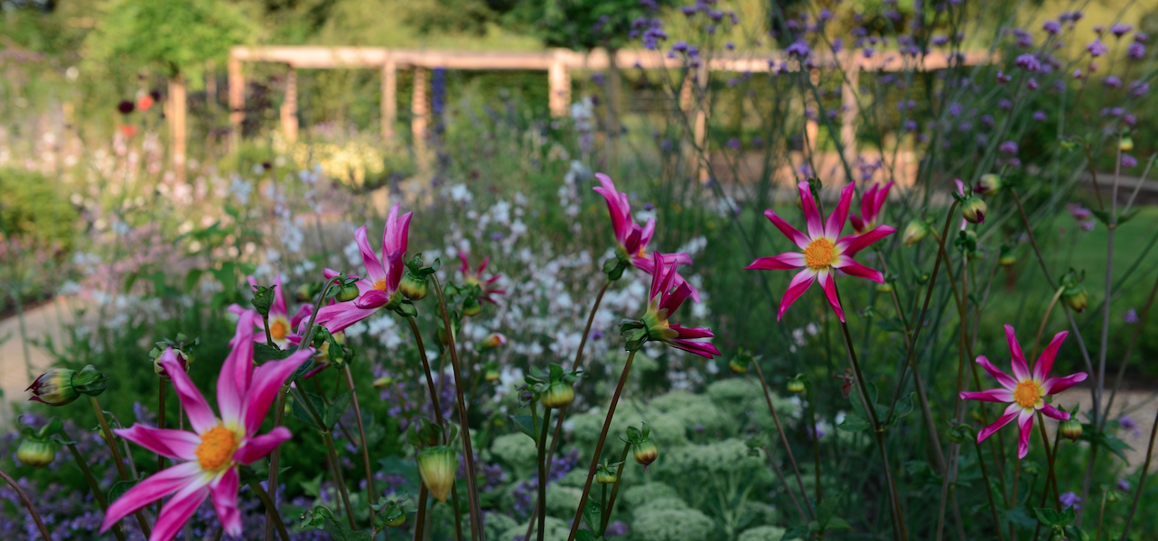 will draper norfolk garden design project images 7