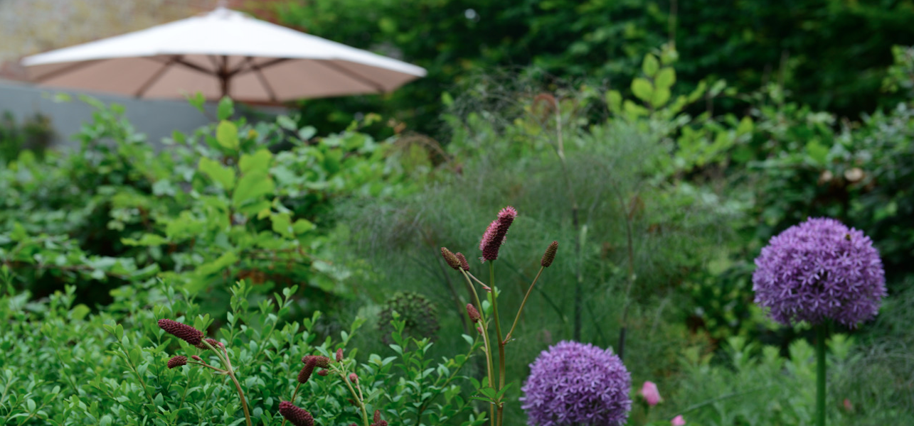 norfolk will draper garden design projects