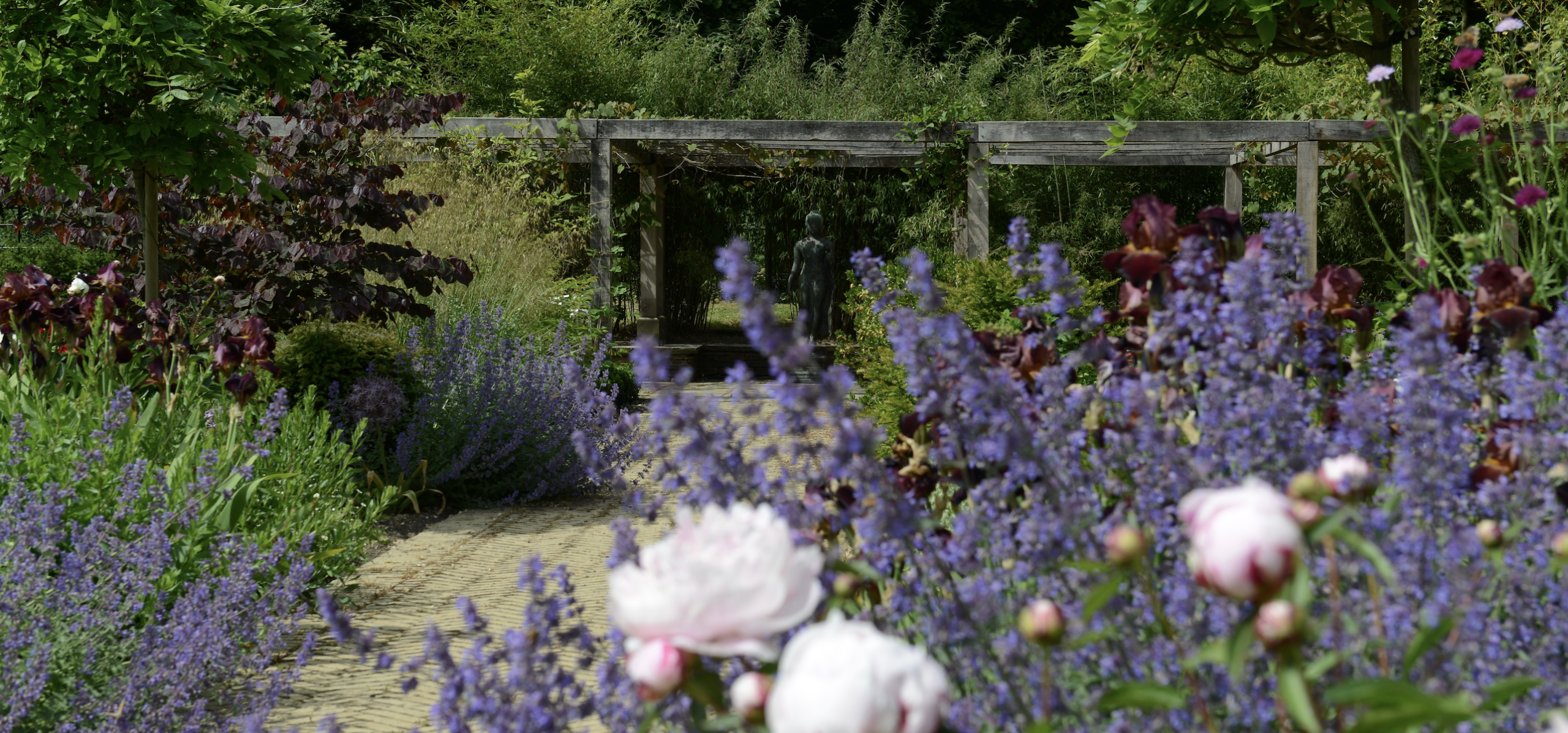 will draper norfolk garden design 15