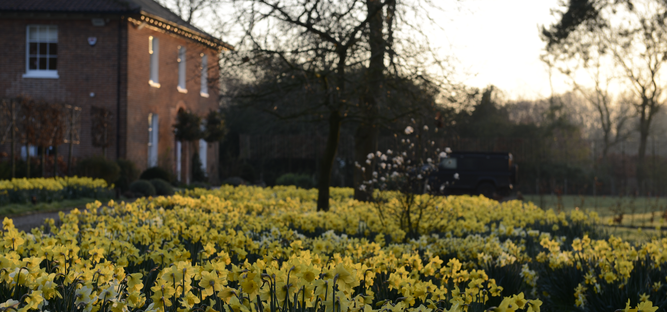 will draper norfolk garden design 16