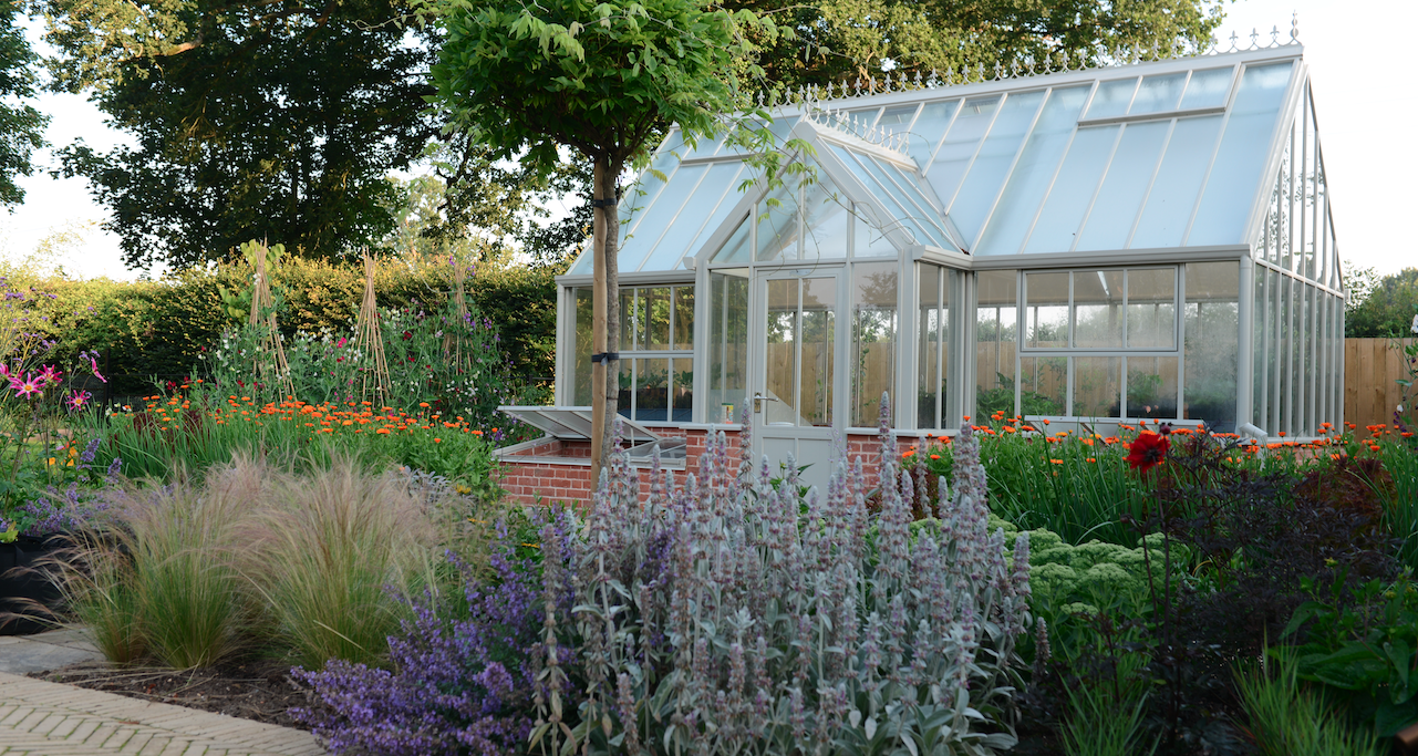 Glasshouse with herbaceous border and lavender planting — garden design by Will Draper, Norfolk