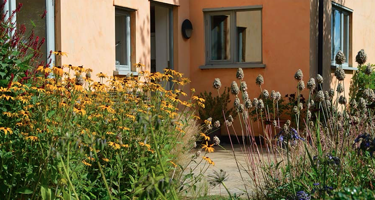 Mediterranean-style garden planting with rudbeckia and lavender — garden design by Will Draper, Norfolk