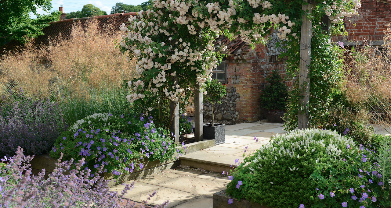 Walled garden with rose arch and stone steps — garden design by Will Draper, Norfolk
