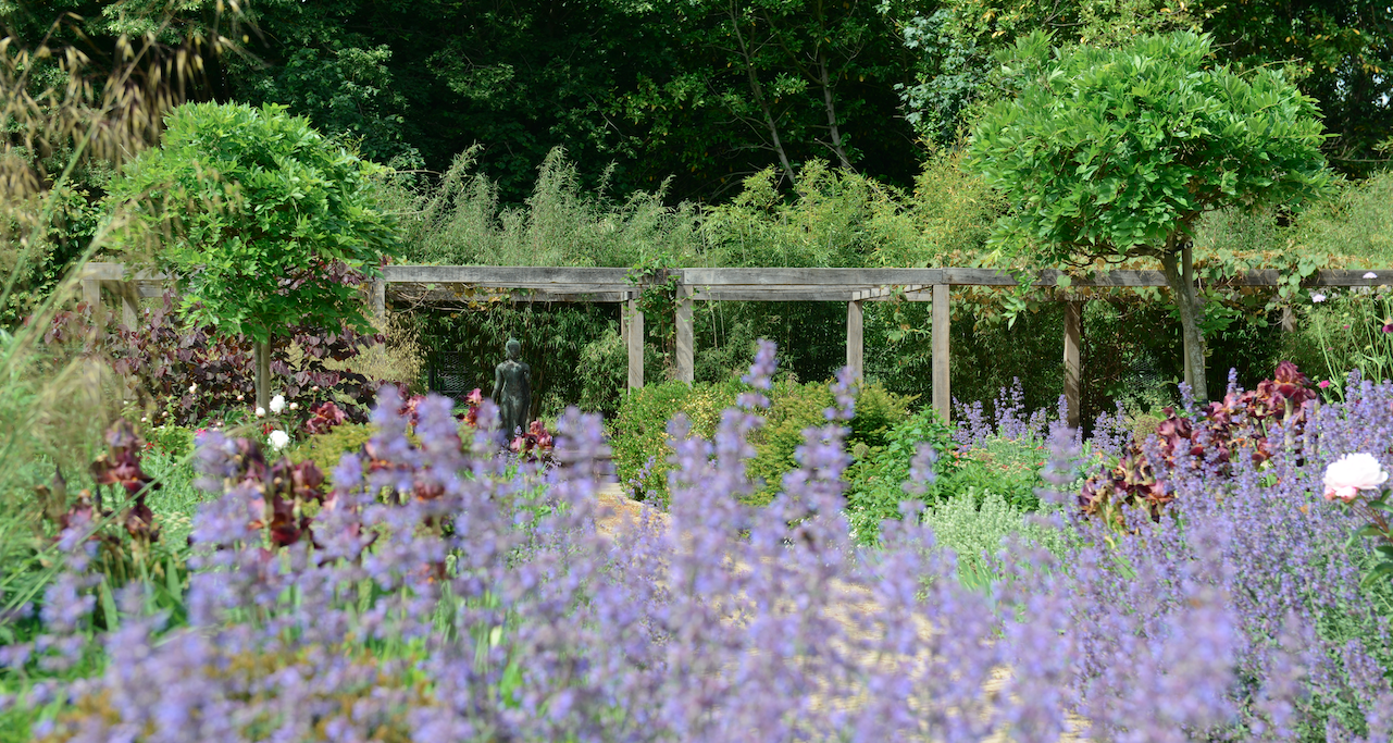 Timber pergola with lavender and nepeta planting — garden construction by Will Draper, Norfolk