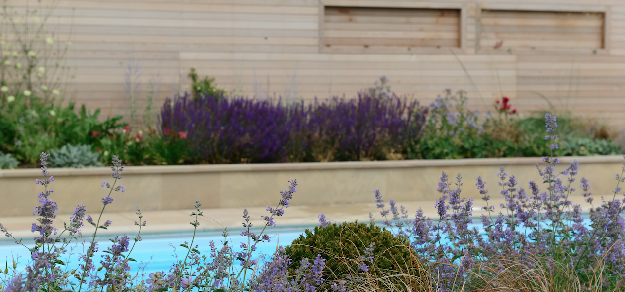will draper norfolk garden design pool