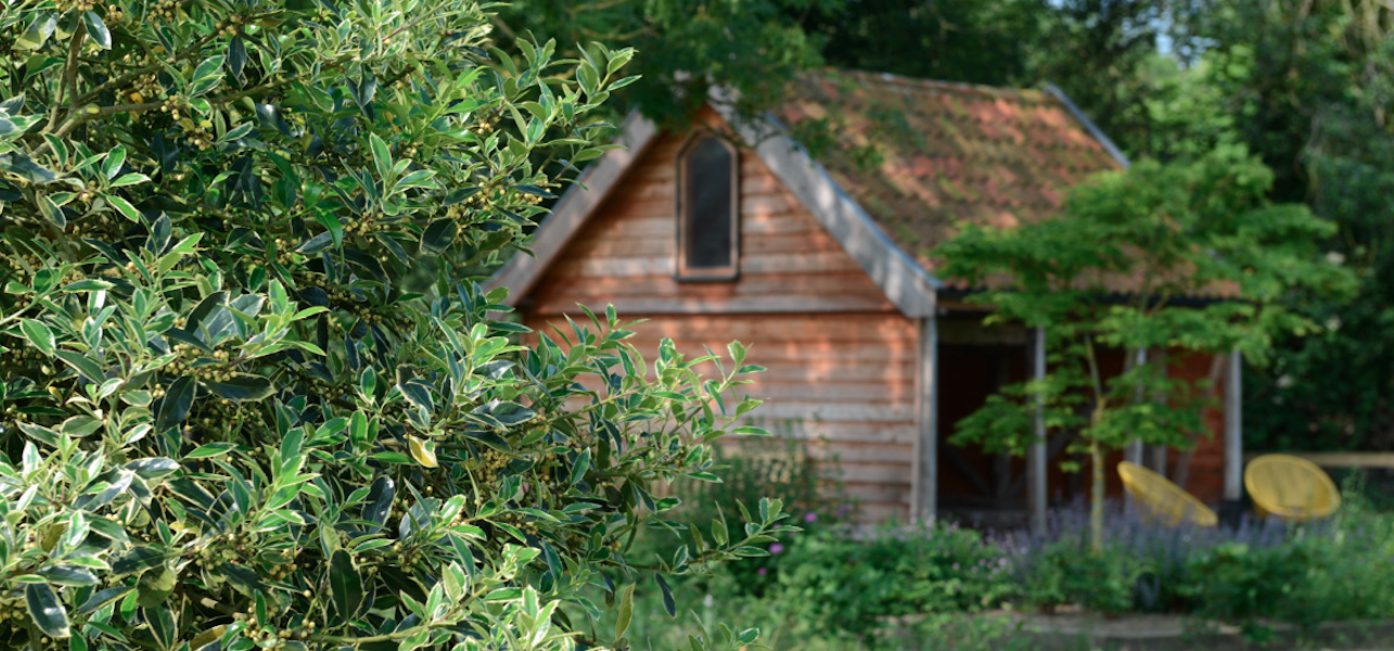 will draper norfolk garden design