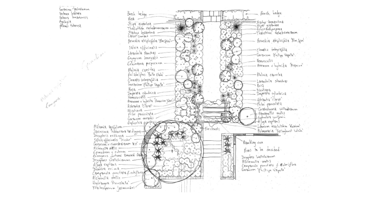 Hand-drawn garden planting plan with plant schedule — Norfolk garden design by Will Draper